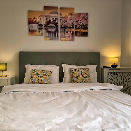 Apartment Ospitalier Clover - Free Parking, New Building Timişoara